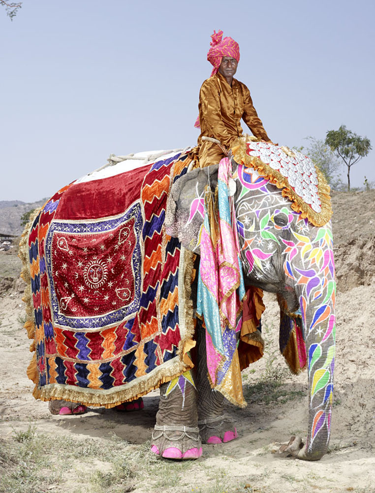 charles_freger_painted_elephant_001.jpg
