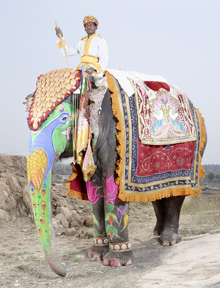 charles_freger_painted_elephant_004.jpg