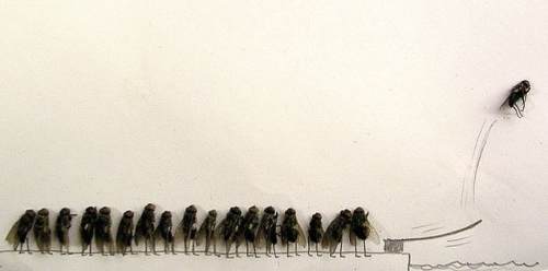 dead-flies-art-4_1.jpg