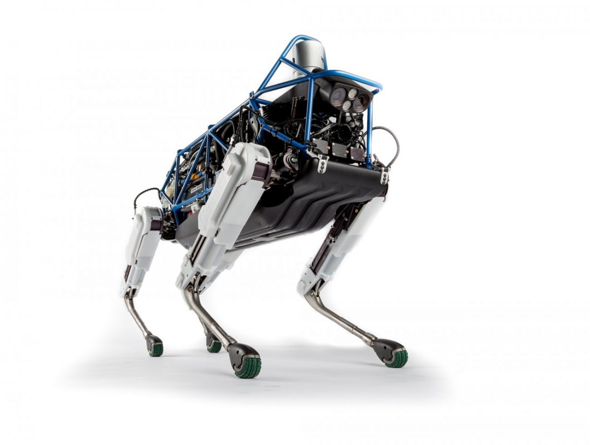 dog_0.jpg