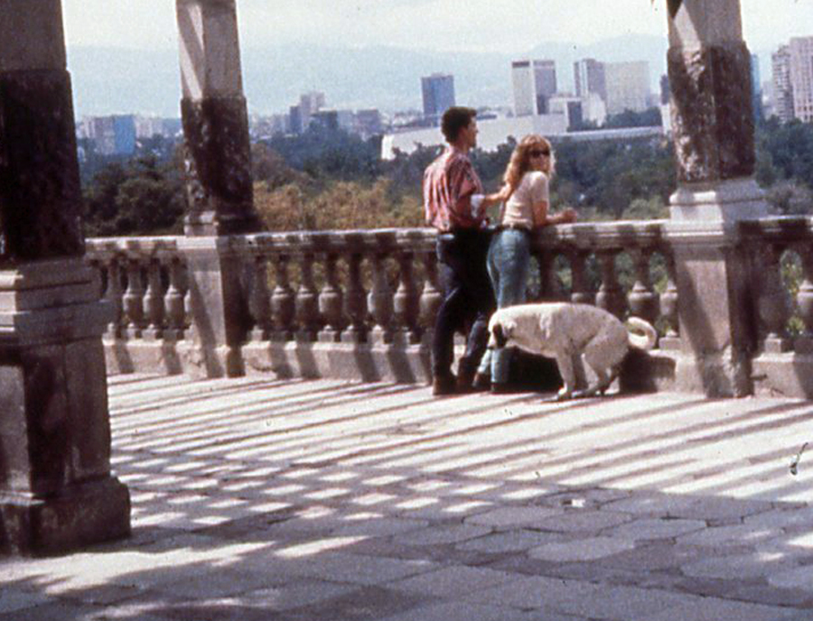 dog_photo_butt_bomb.jpg