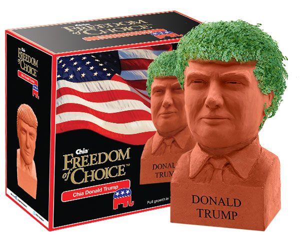 donald2__93021.1472502028.1280.1280_0.jpg