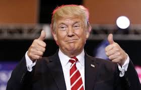 donnie2.jpg