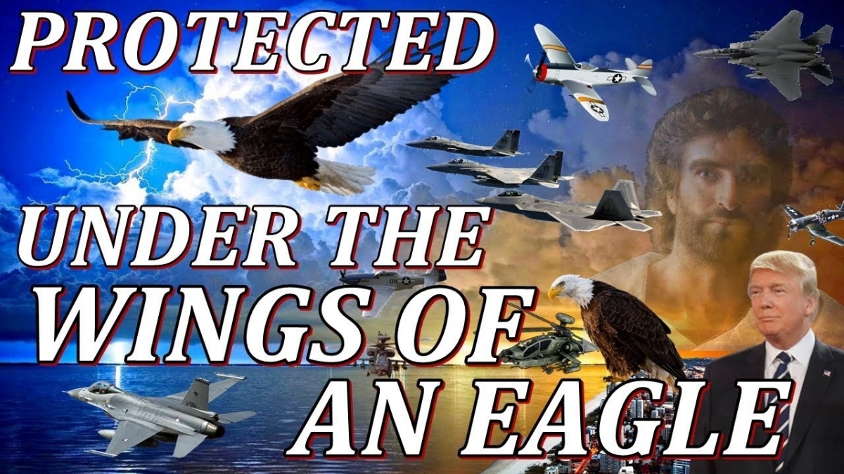 eagle_2.jpg