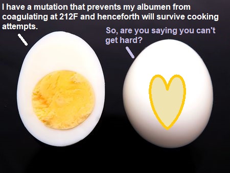egg.jpg