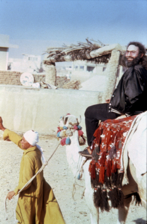 egypt-jerry-camel.jpg