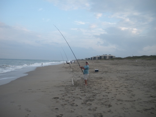 fake pompano 014 (500x375).jpg