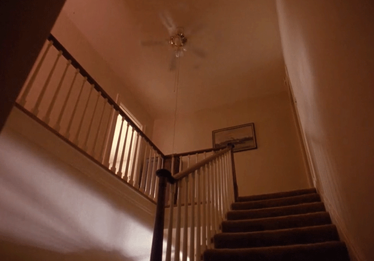 fan.gif