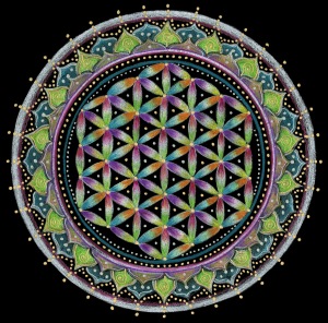 flower-of-life[1].jpg