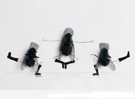 fly-art-VI.jpg