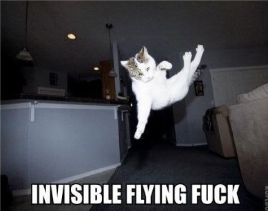 flyingfk.jpg