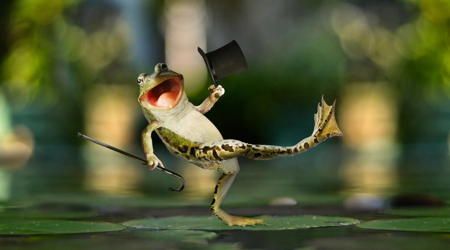 frog2.png
