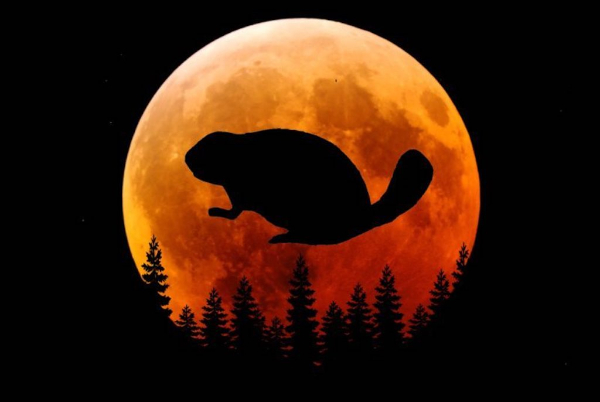 full-beaver-moon-november-2018.jpg