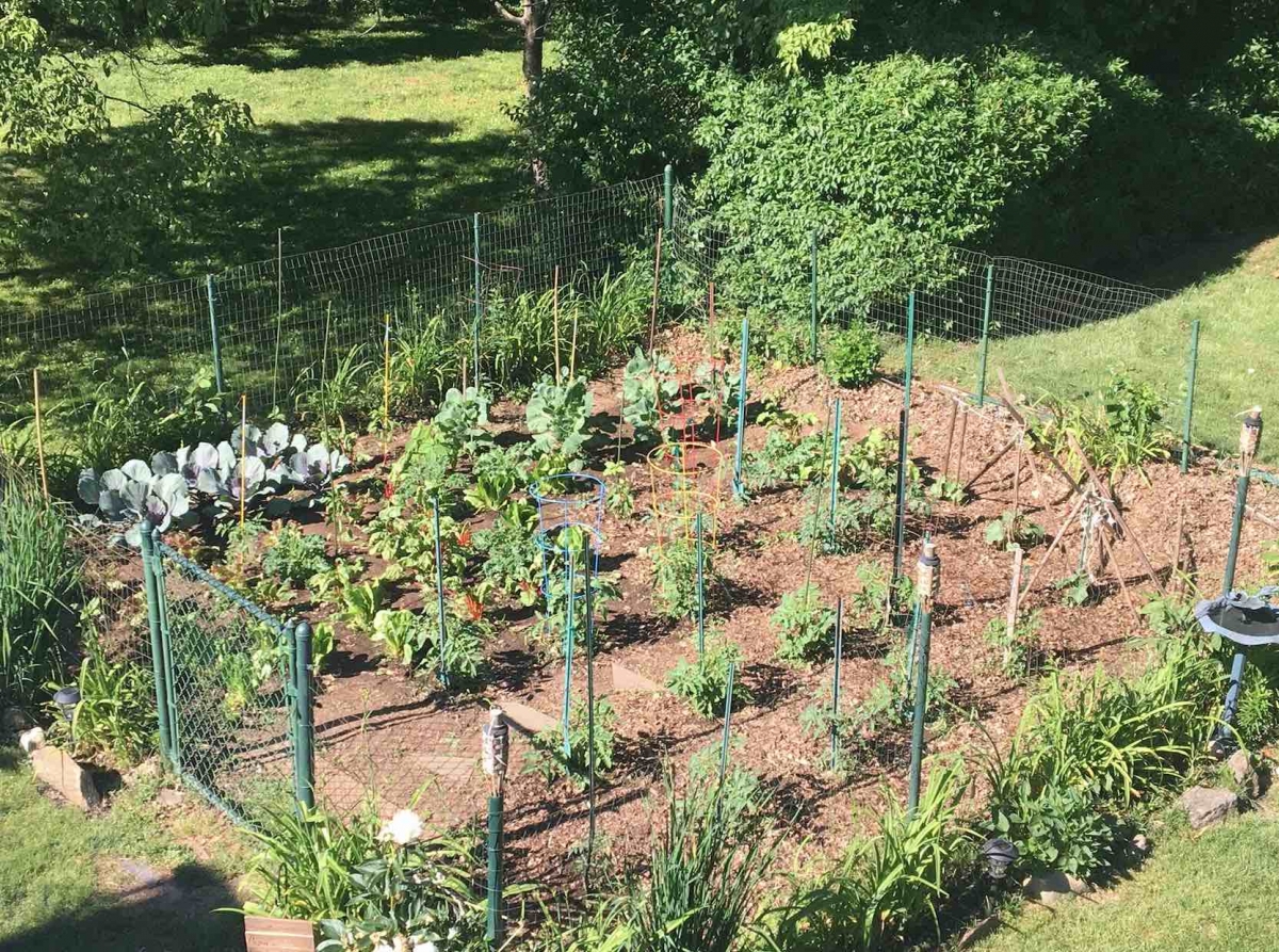 garden_0.jpg