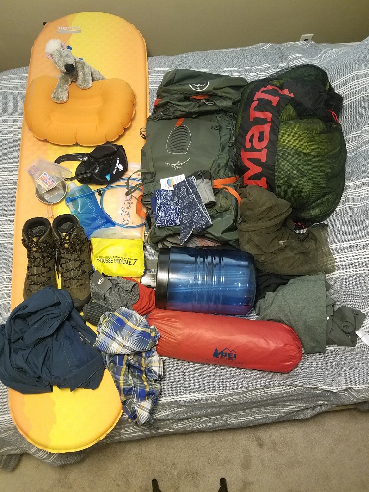 gear_0.jpg