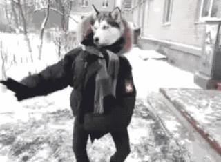 giphy (7).gif