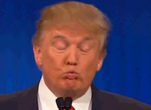 giphy_5.gif