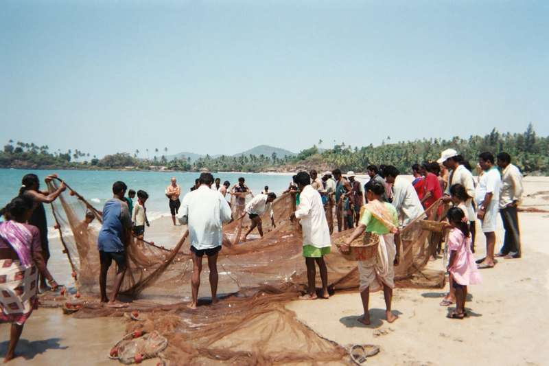 goa2003.jpg