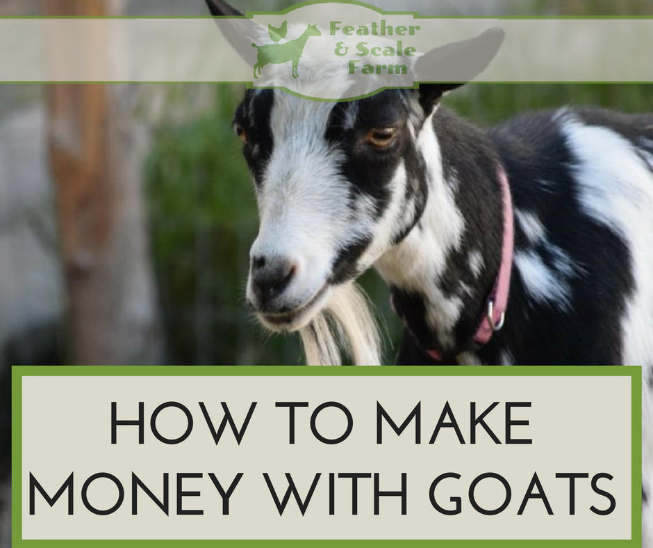 goat 01.png