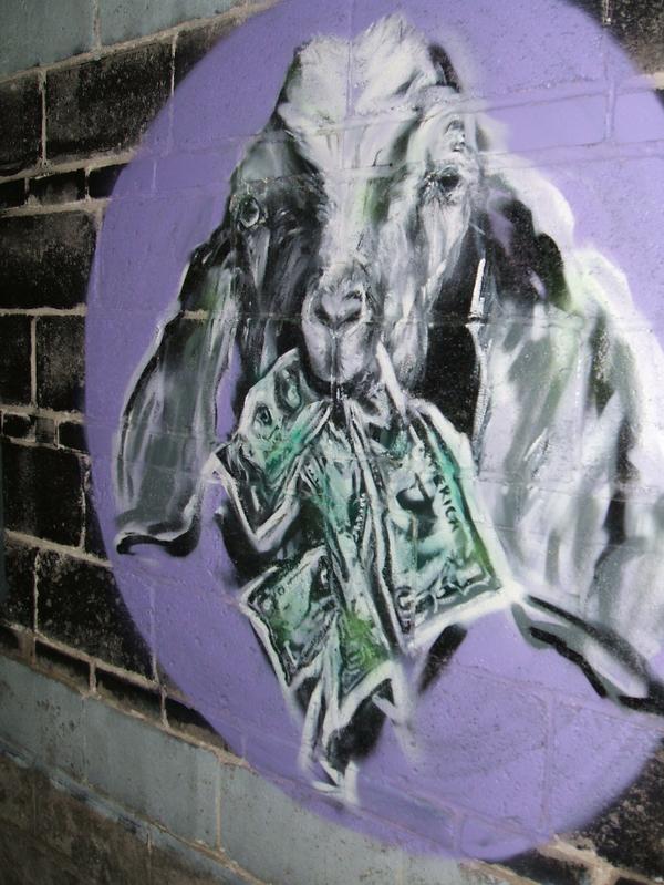 goat 02_0.jpg
