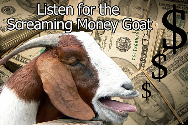 goat 07.jpg