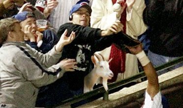 goat.jpg