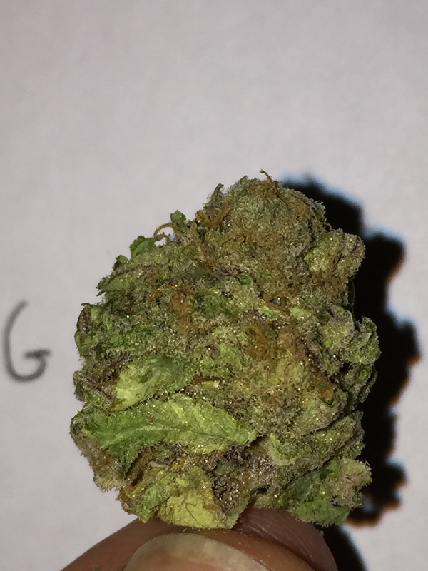 grape ape.JPG