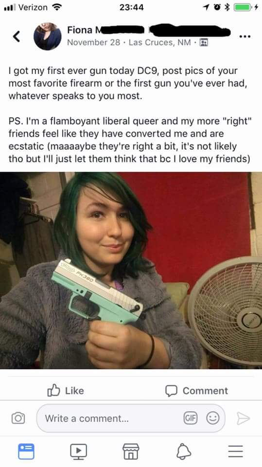 gun1.jpg