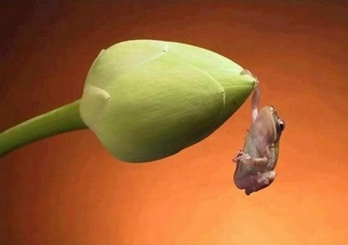 hanginthere.jpg