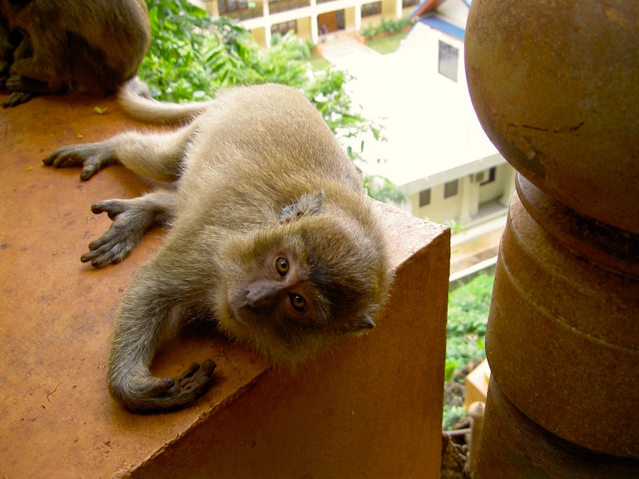 honeymoon thailand 154.jpg