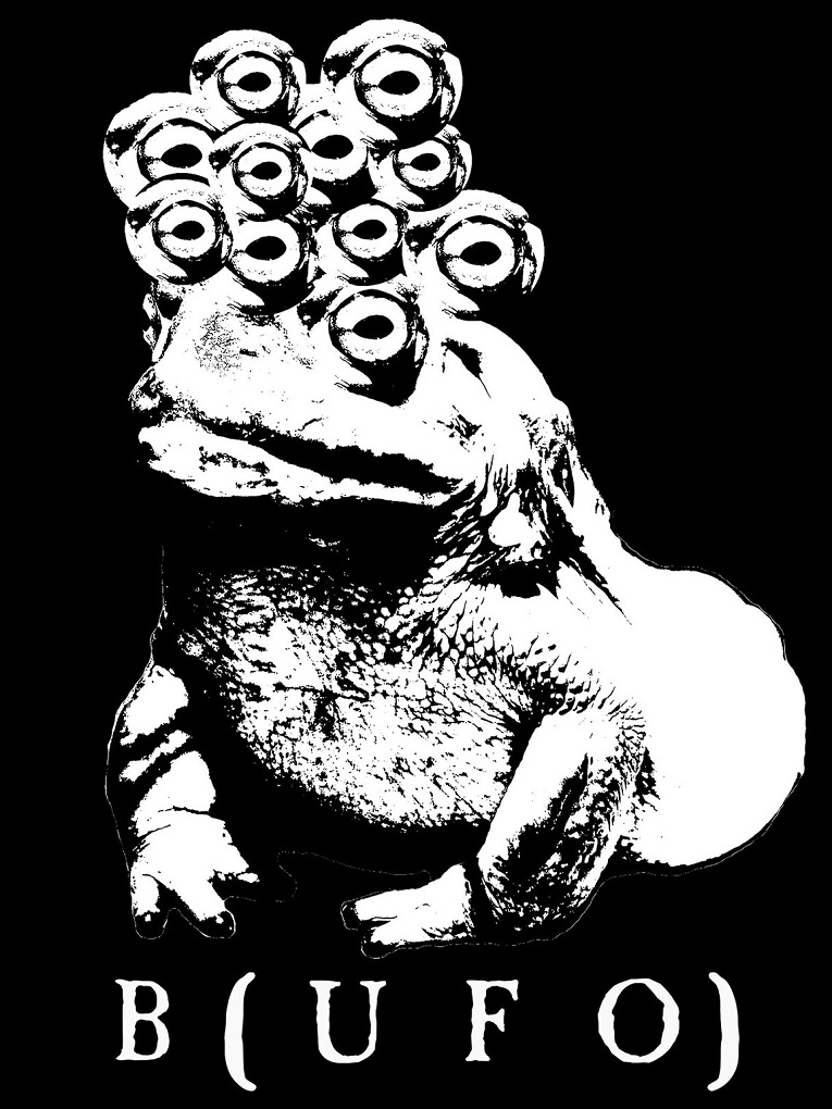 il_1140xN.2841654767_ha82.jpg