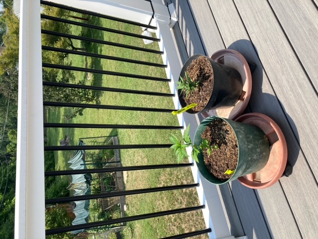 image0 (1)_8.jpeg