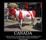 image_1226.jpg