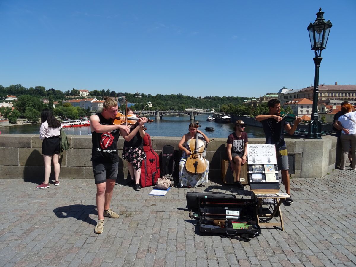 image_1252.jpg