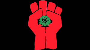 image_3.png