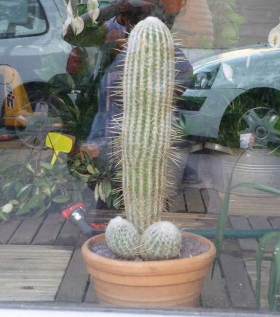 image_65.png