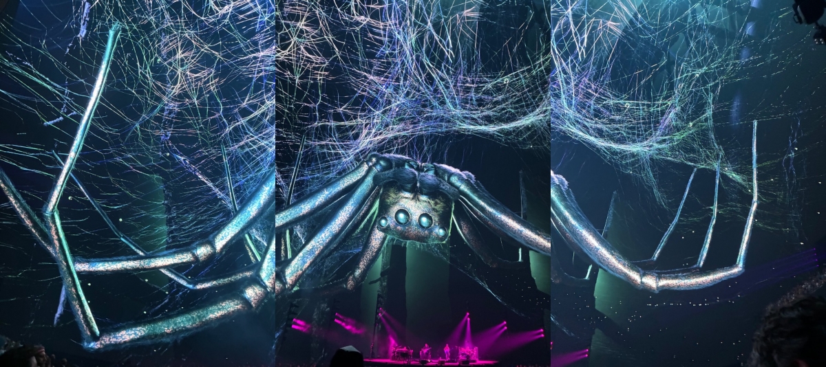 imresizer-stitched-image.jpg
