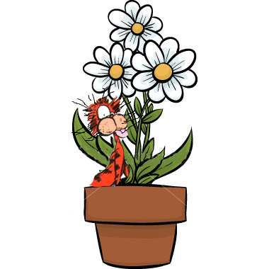 ist2_2053187_flower_pot.jpg