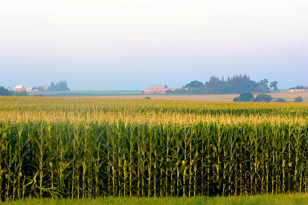 istockphoto-144188648-612x612.jpg