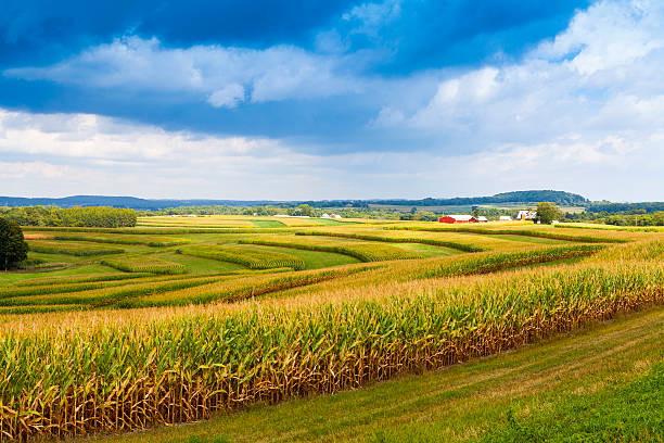 istockphoto-183682587-612x612.jpg