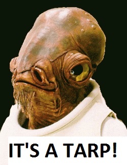 its a tarp.jpg