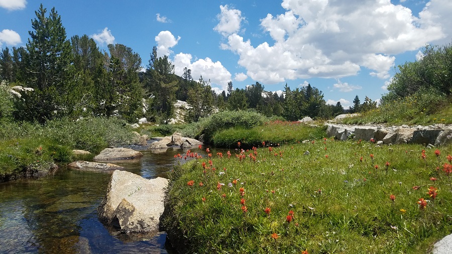 jmt3_0.jpg