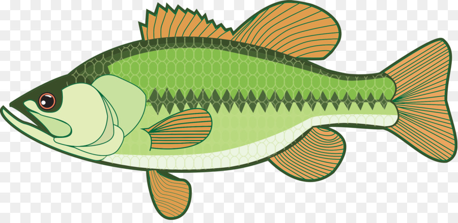 kisspng-largemouth-bass-clip-art-bass-5ac5216c59a194.9034635415228685883671.jpg