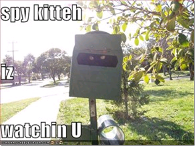kiteh9.png