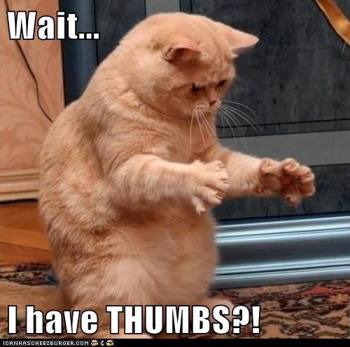 kitty wait i have thumbs.jpg