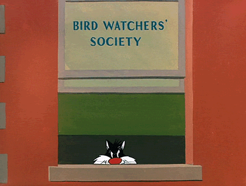 looney-cartoons.gif
