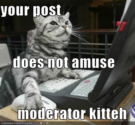 modkitteh2.jpg