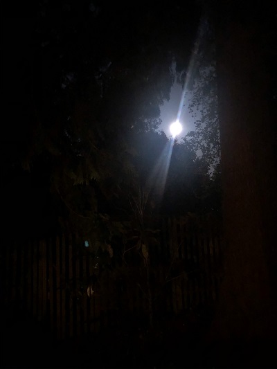 moondark.jpg
