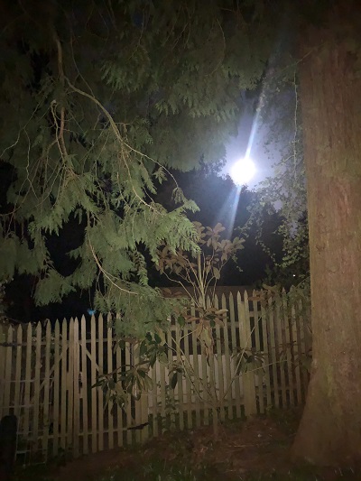 moonlight.jpg