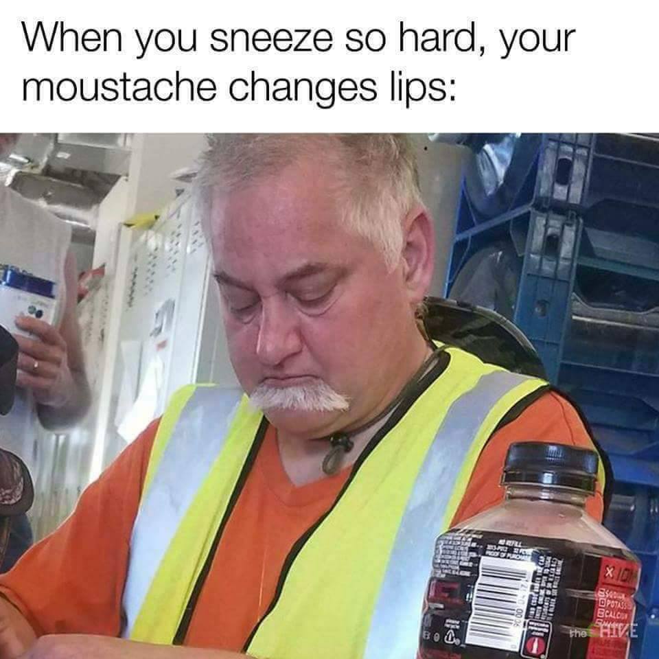 mus.jpg